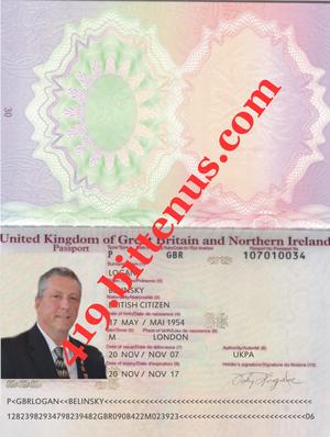 419Identy Passport